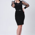 Trasparan Kollu Şık Elbise